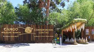 Cango Wildlife Ranch